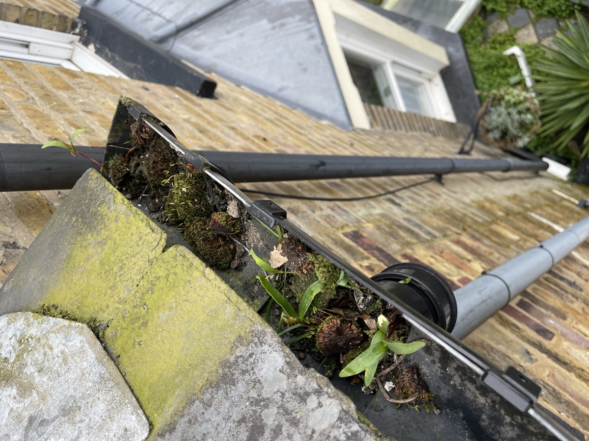 Gutter Before Clearing