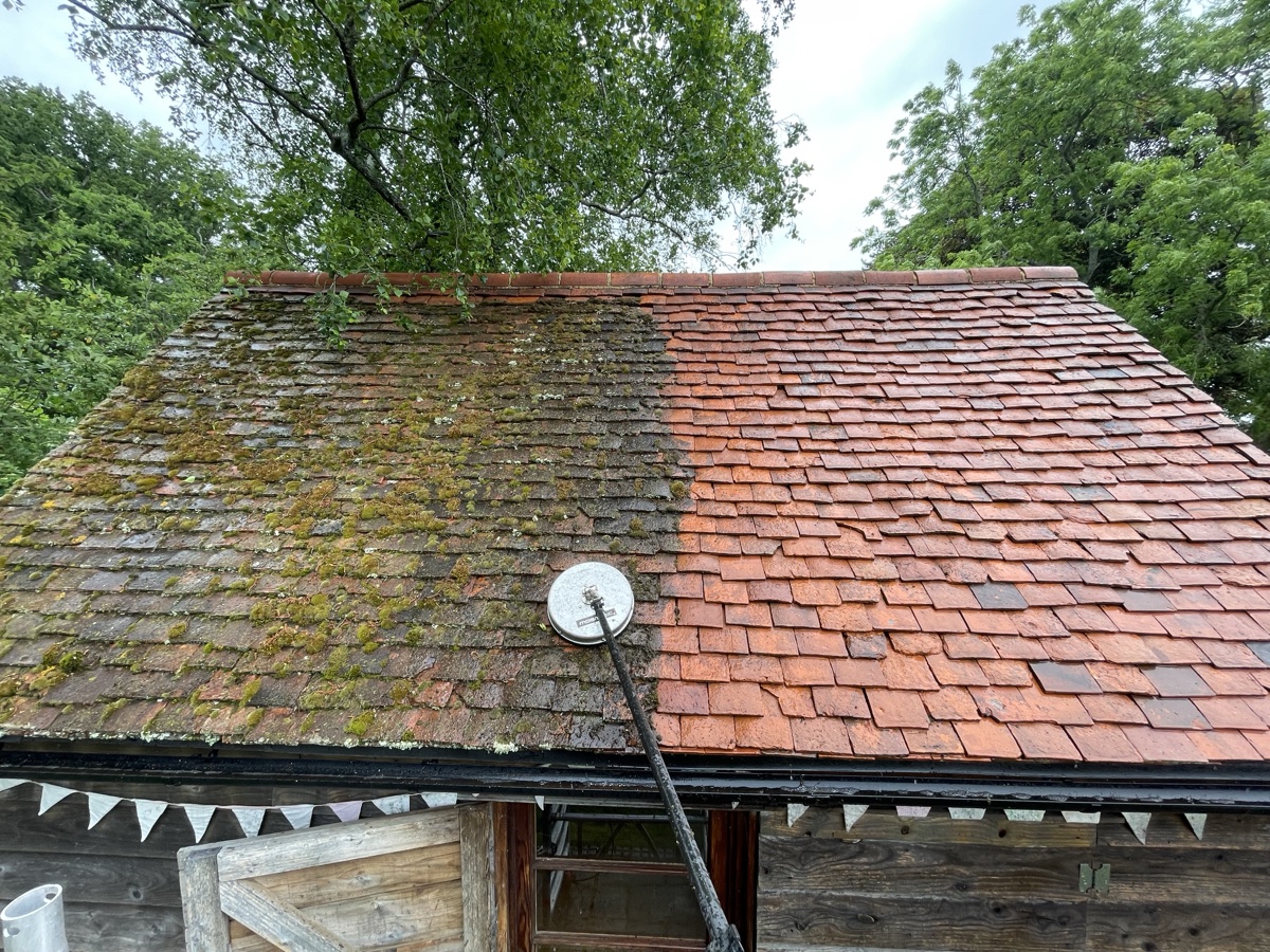 Roof Cleaning Before & After